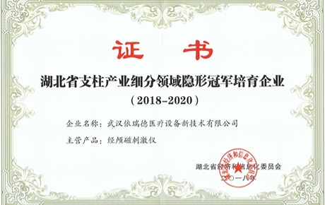 【重大喜报】依瑞德被评为湖北省支柱产业细分领域隐形冠军培育企业！