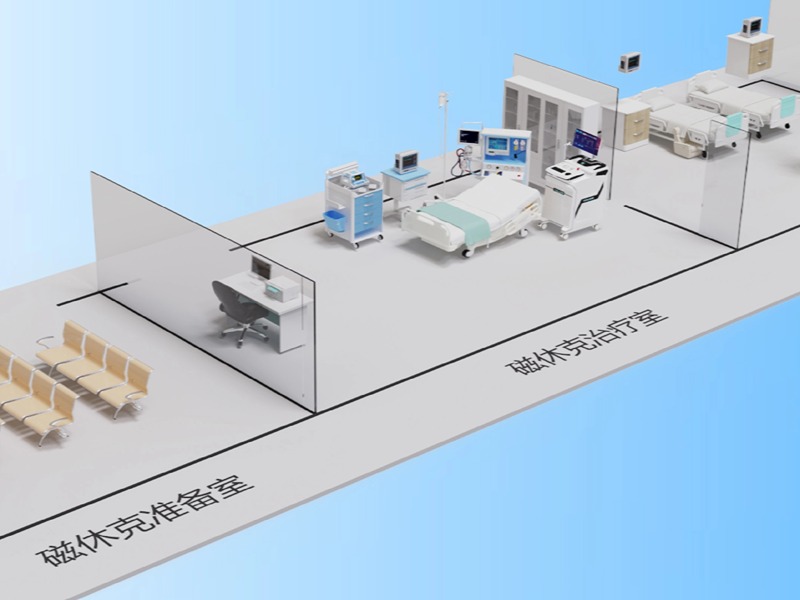 CSP2024 |《磁休克相关技术研究进展与应用》专题会议摘录